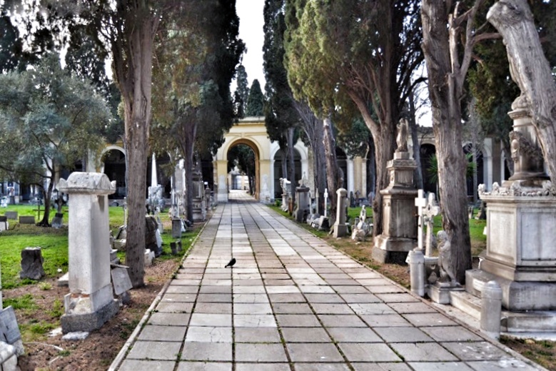 Uno dei viali del Cimitero di Bonaria